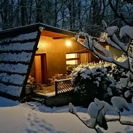 Chalpa Na Skarpie Villa Meszna Eksteriør billede