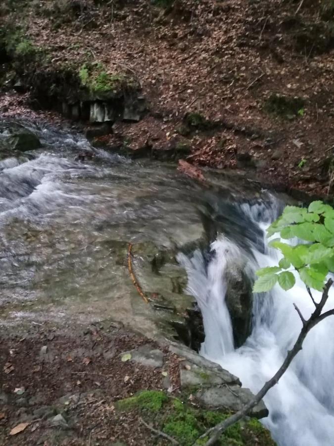Chalpa Na Skarpie Villa Meszna Eksteriør billede